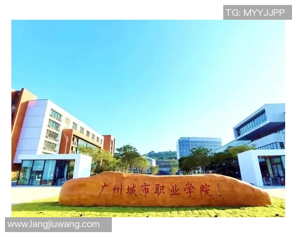 成都足球队的奋斗与荣耀：城市联赛中的崛起之路与未来展望